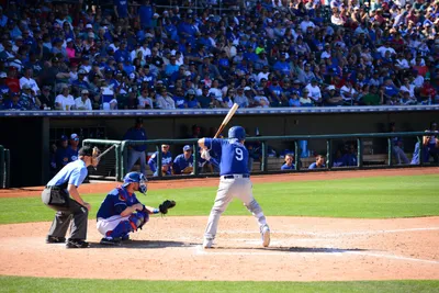 DSC_1809 (Large).JPG